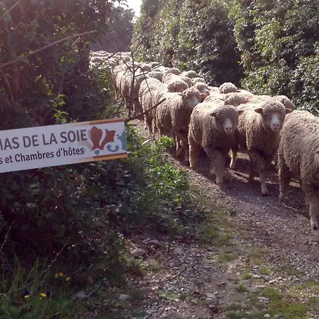 De La Soie *